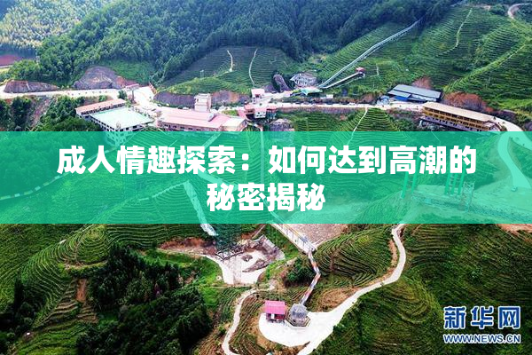 成人情趣探索：如何达到高潮的秘密揭秘