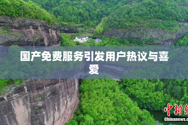 国产免费服务引发用户热议与喜爱