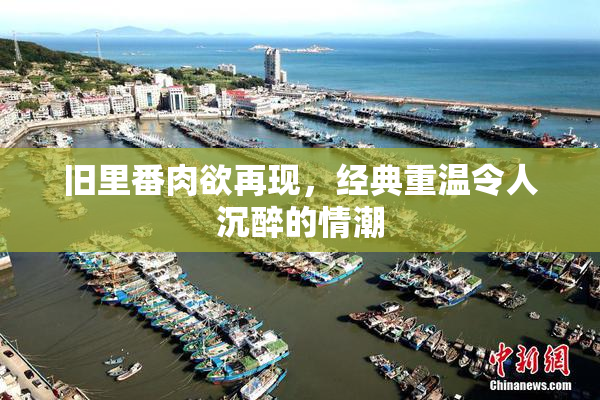 旧里番肉欲再现，经典重温令人沉醉的情潮