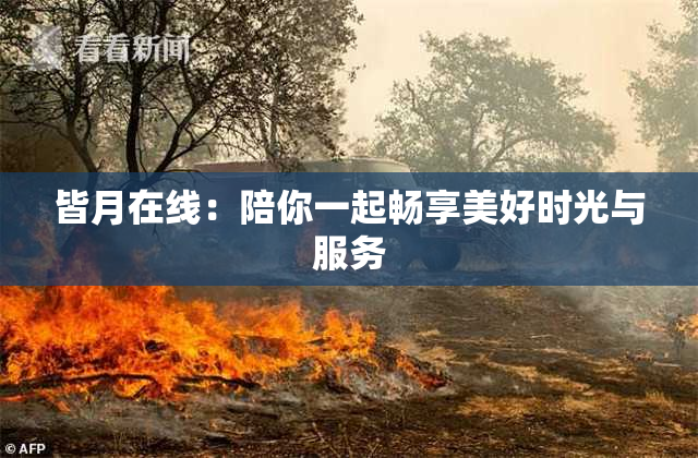 皆月在线：陪你一起畅享美好时光与服务