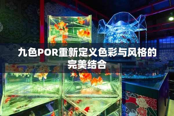九色POR重新定义色彩与风格的完美结合
