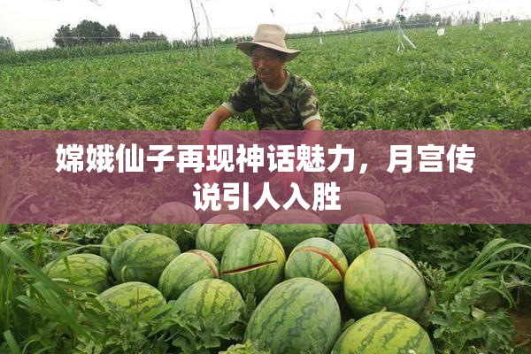嫦娥仙子再现神话魅力，月宫传说引人入胜