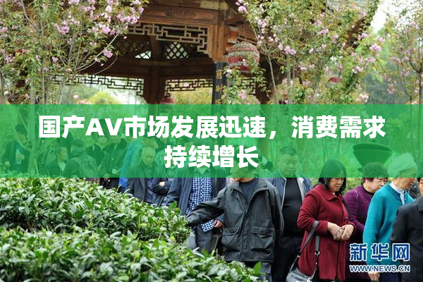 国产AV市场发展迅速，消费需求持续增长