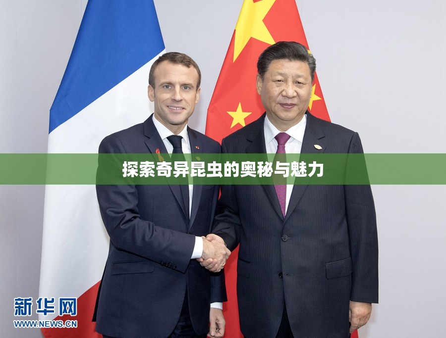 探索奇异昆虫的奥秘与魅力