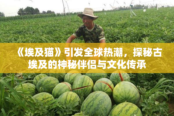 《埃及猫》引发全球热潮，探秘古埃及的神秘伴侣与文化传承
