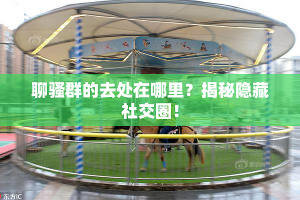 聊骚群的去处在哪里？揭秘隐藏社交圈！