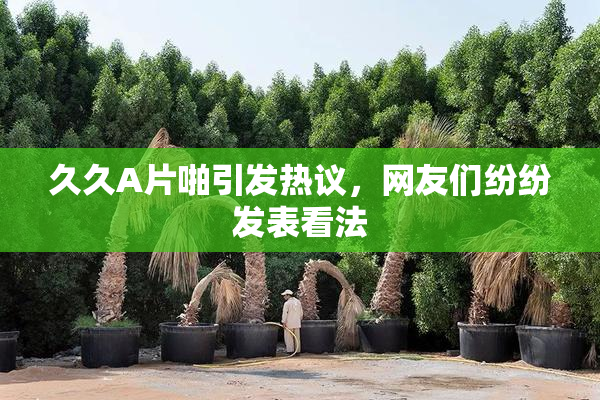 久久A片啪引发热议，网友们纷纷发表看法