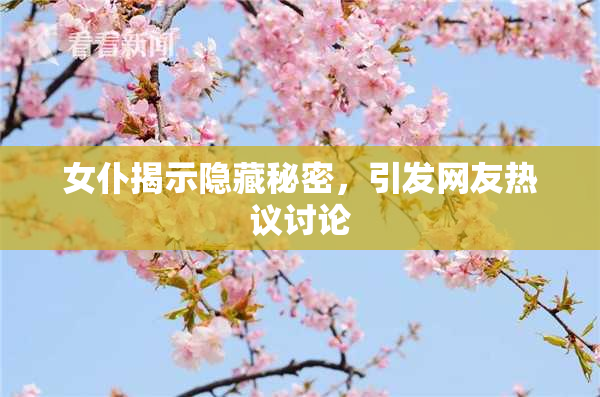 女仆揭示隐藏秘密，引发网友热议讨论