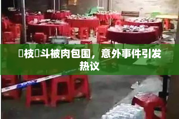 狛枝凪斗被肉包围，意外事件引发热议