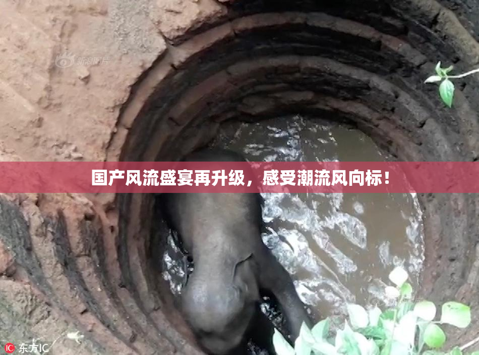 国产风流盛宴再升级，感受潮流风向标！