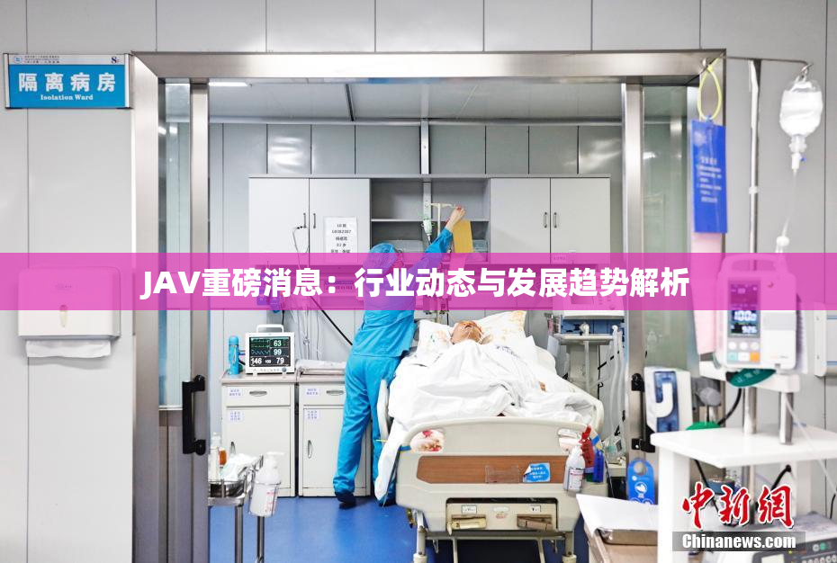 JAV重磅消息：行业动态与发展趋势解析