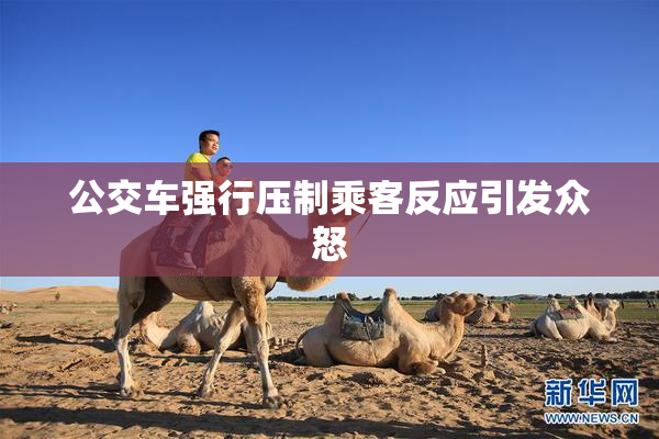 公交车强行压制乘客反应引发众怒