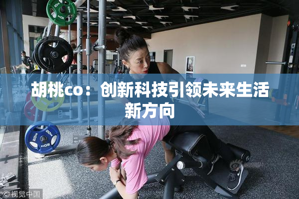 胡桃co：创新科技引领未来生活新方向