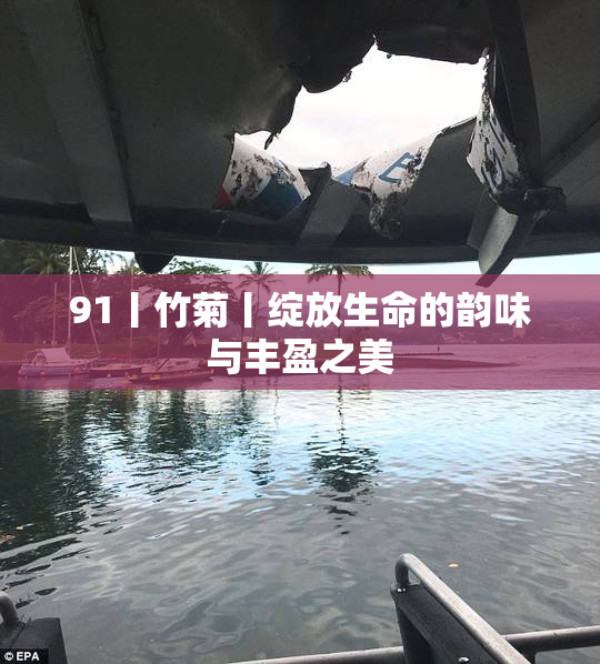 91丨竹菊丨绽放生命的韵味与丰盈之美
