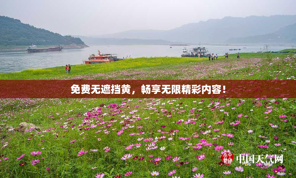 免费无遮挡黄，畅享无限精彩内容！