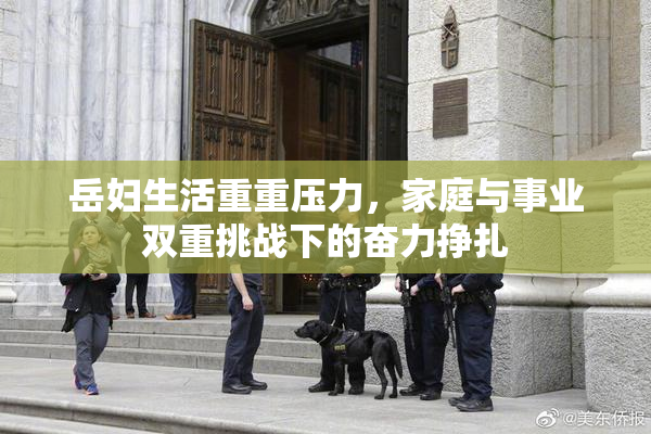 岳妇生活重重压力，家庭与事业双重挑战下的奋力挣扎