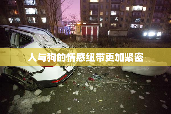 人与狗的情感纽带更加紧密