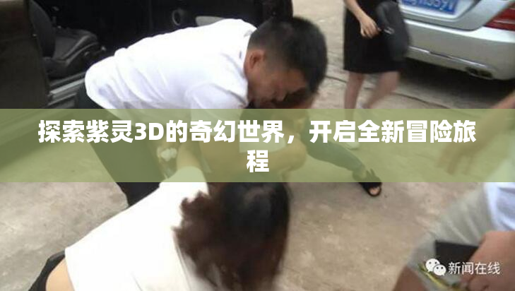 探索紫灵3D的奇幻世界，开启全新冒险旅程
