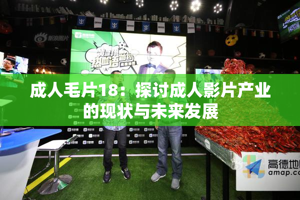 成人毛片18：探讨成人影片产业的现状与未来发展