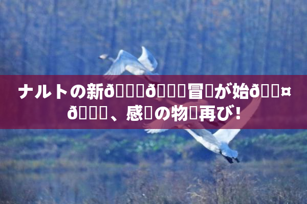 ナルトの新👅🍑冒険が始🖤🌃、感動の物語再び！