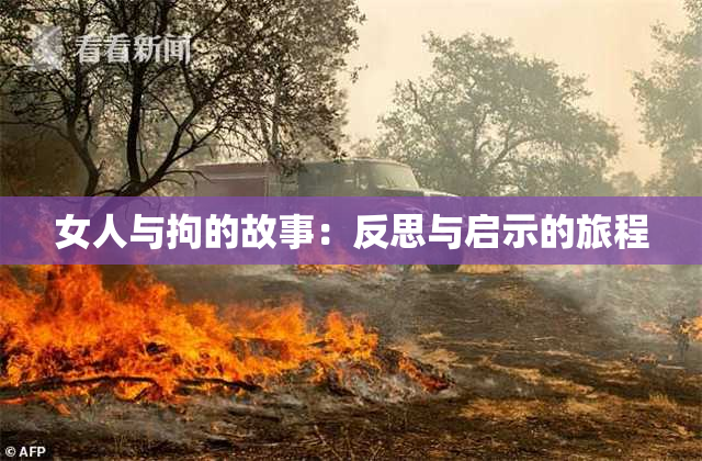 女人与拘的故事：反思与启示的旅程