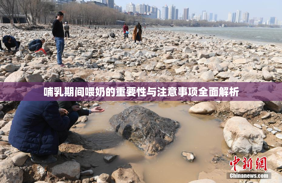 哺乳期间喂奶的重要性与注意事项全面解析