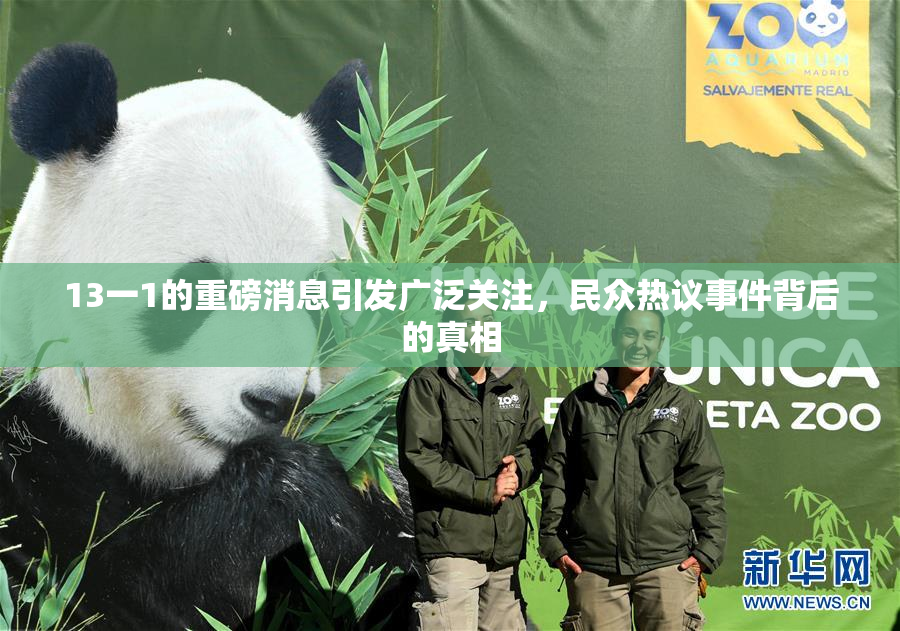 13一1的重磅消息引发广泛关注，民众热议事件背后的真相