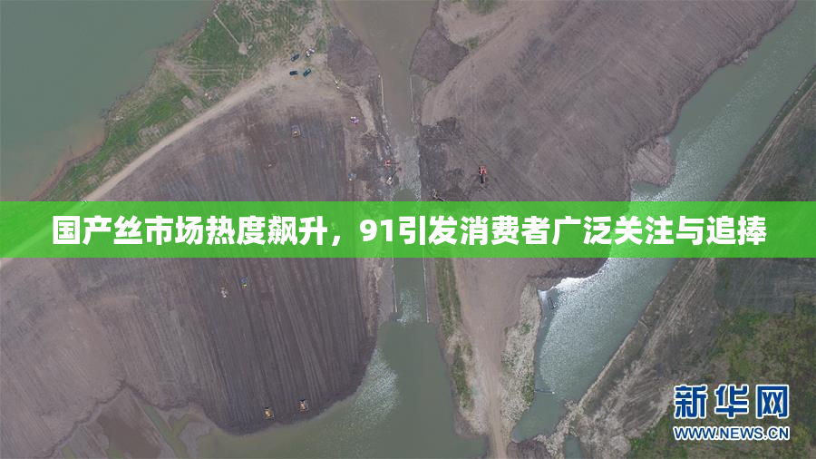 国产丝市场热度飙升，91引发消费者广泛关注与追捧
