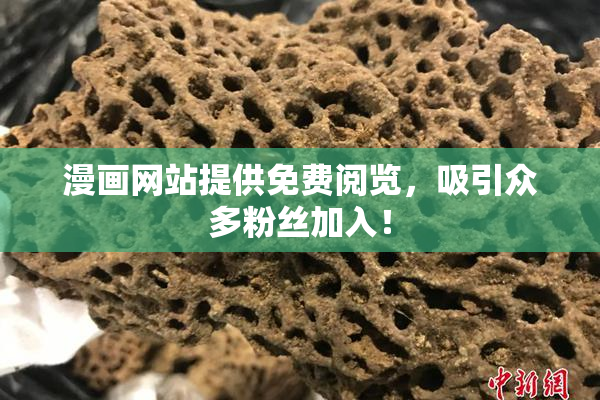 漫画网站提供免费阅览，吸引众多粉丝加入！