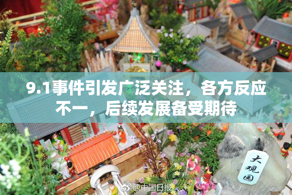 9.1事件引发广泛关注，各方反应不一，后续发展备受期待
