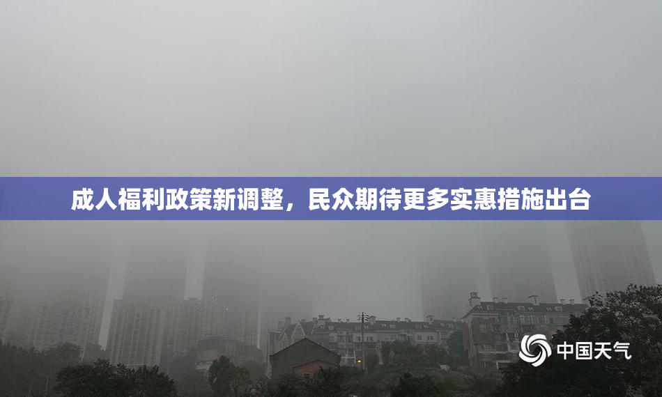 成人福利政策新调整，民众期待更多实惠措施出台