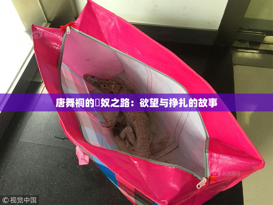 唐舞桐的婬奴之路：欲望与挣扎的故事