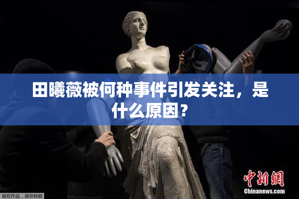 田曦薇被何种事件引发关注，是什么原因？