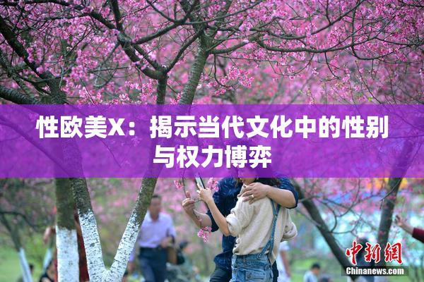 性欧美X：揭示当代文化中的性别与权力博弈