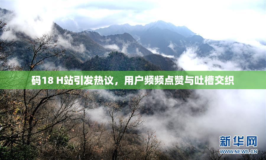 码18 H站引发热议，用户频频点赞与吐槽交织
