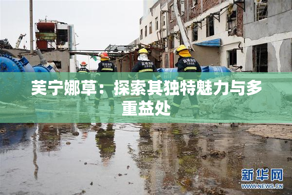 芙宁娜草：探索其独特魅力与多重益处