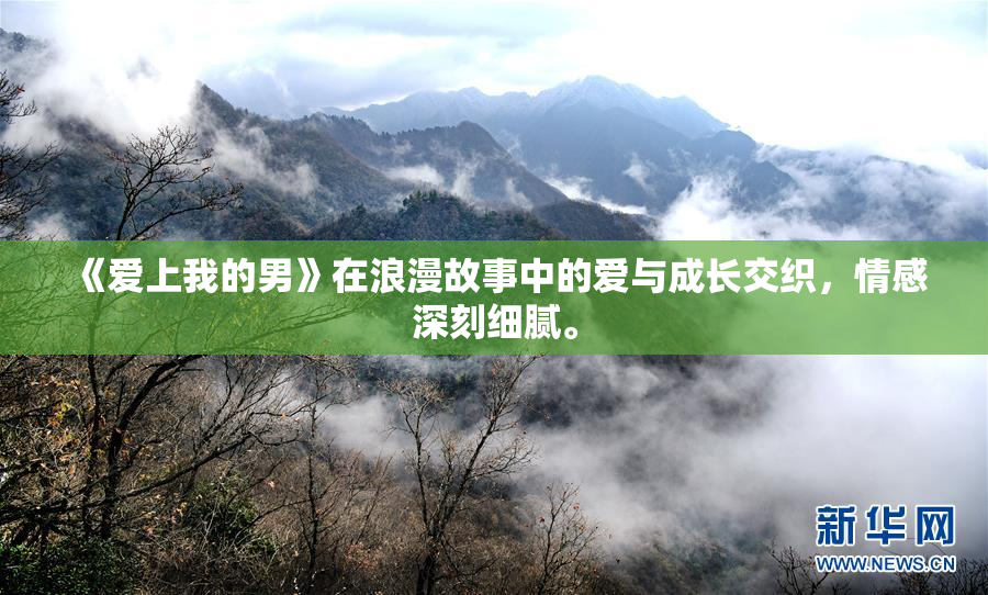 《爱上我的男》在浪漫故事中的爱与成长交织，情感深刻细腻。