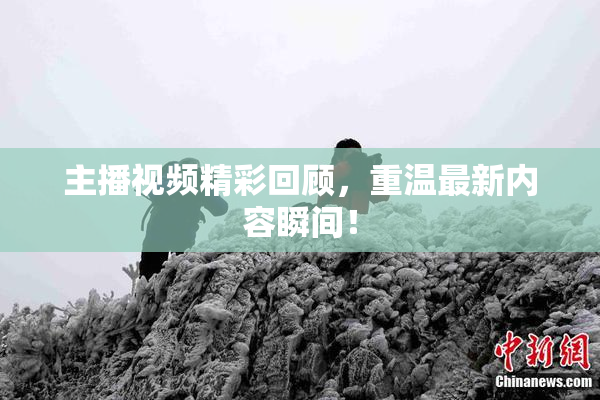 主播视频精彩回顾，重温最新内容瞬间！