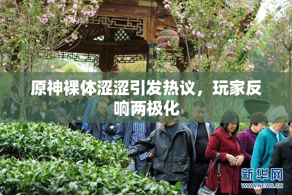 原神裸体涩涩引发热议，玩家反响两极化