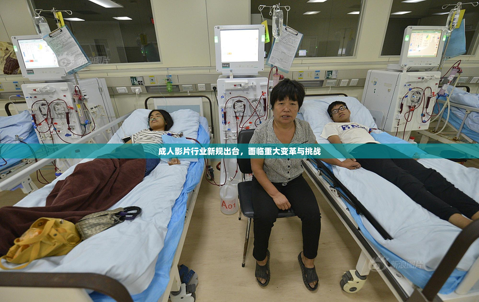 成人影片行业新规出台，面临重大变革与挑战