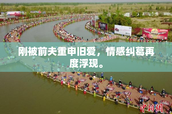 刚被前夫重申旧爱，情感纠葛再度浮现。