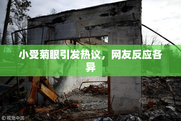 小受菊眼引发热议，网友反应各异