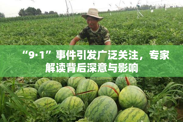 “9·1”事件引发广泛关注，专家解读背后深意与影响