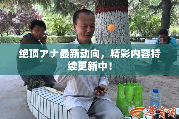 绝顶アナ最新动向，精彩内容持续更新中！