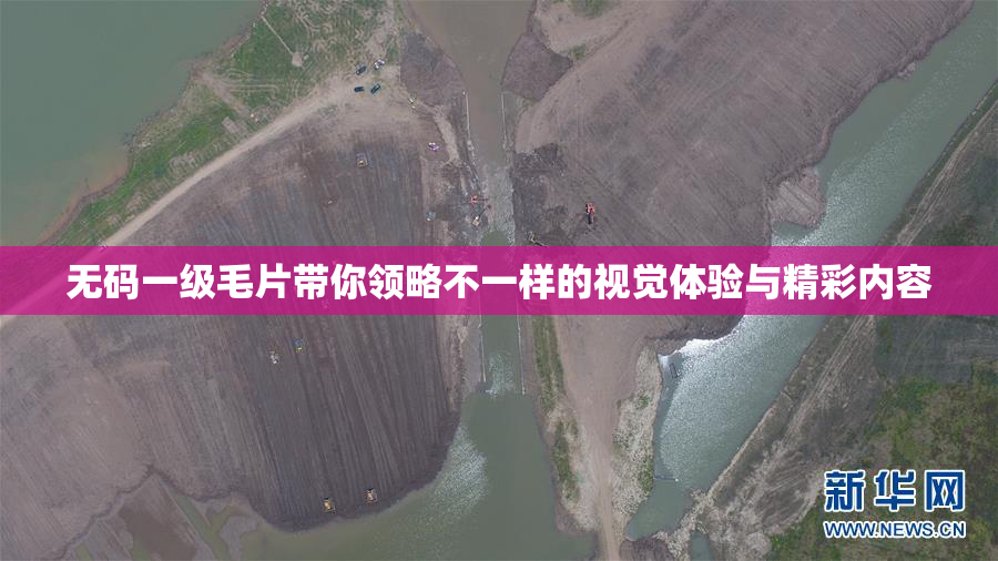 无码一级毛片带你领略不一样的视觉体验与精彩内容