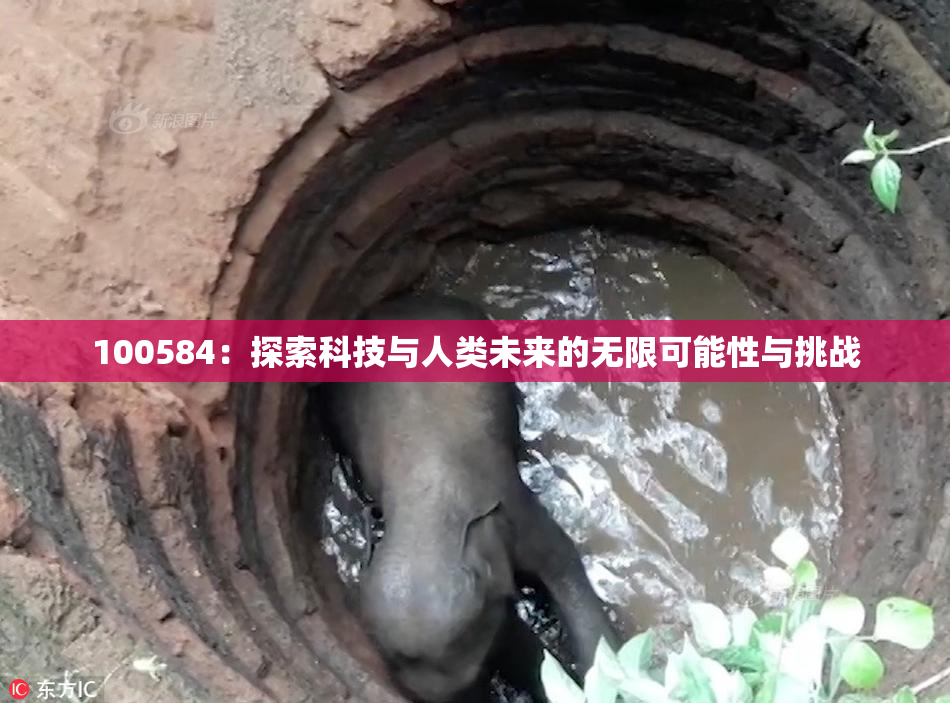 100584：探索科技与人类未来的无限可能性与挑战