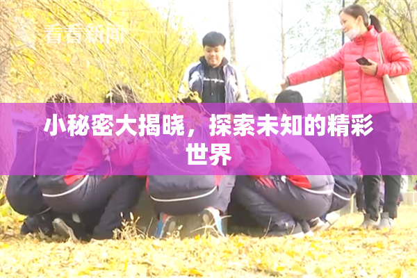 小秘密大揭晓，探索未知的精彩世界