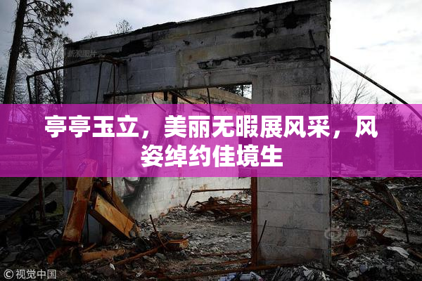 亭亭玉立，美丽无暇展风采，风姿绰约佳境生