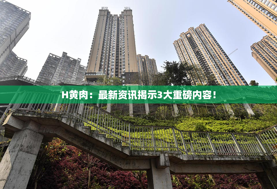 H黄肉：最新资讯揭示3大重磅内容！