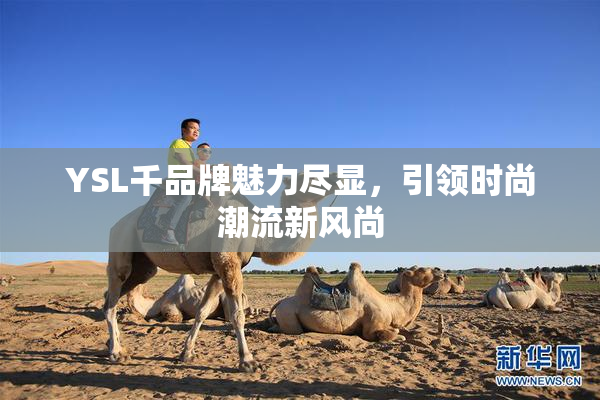 YSL千品牌魅力尽显，引领时尚潮流新风尚